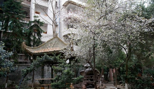 四川省簡(jiǎn)陽(yáng)中學(xué)西校區(qū)小公園風(fēng)光
