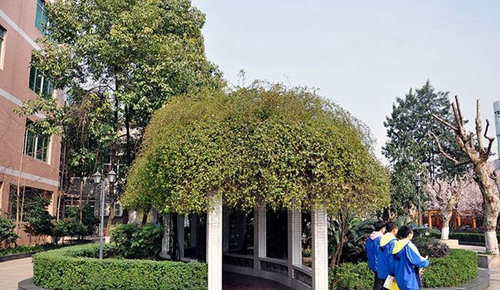 成都市中和中學(xué)春日校園