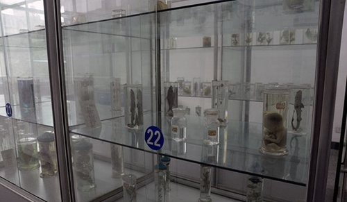 成都市中和中學(xué)生物實(shí)驗(yàn)室