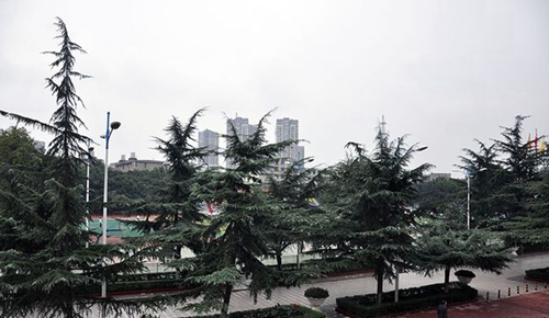 成都市中和中學(xué)校園的秋天