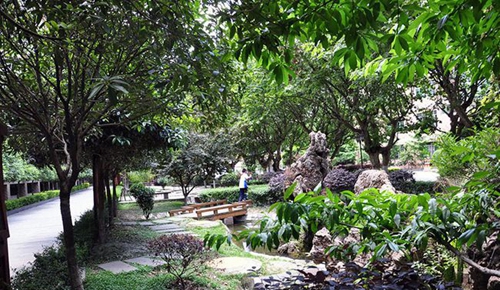 成都市中和中學(xué)校園風(fēng)景