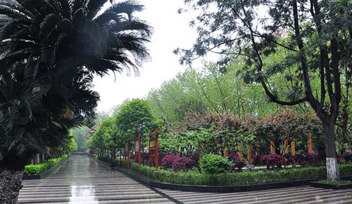 成都市中和中學(xué)校園干道