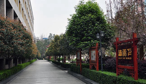 成都市中和中學(xué)校園行道