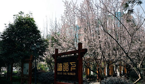 成都市中和中學(xué)校園環(huán)境