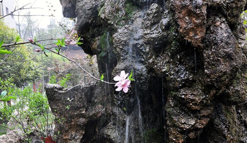 成都市中和中學(xué)校園假山
