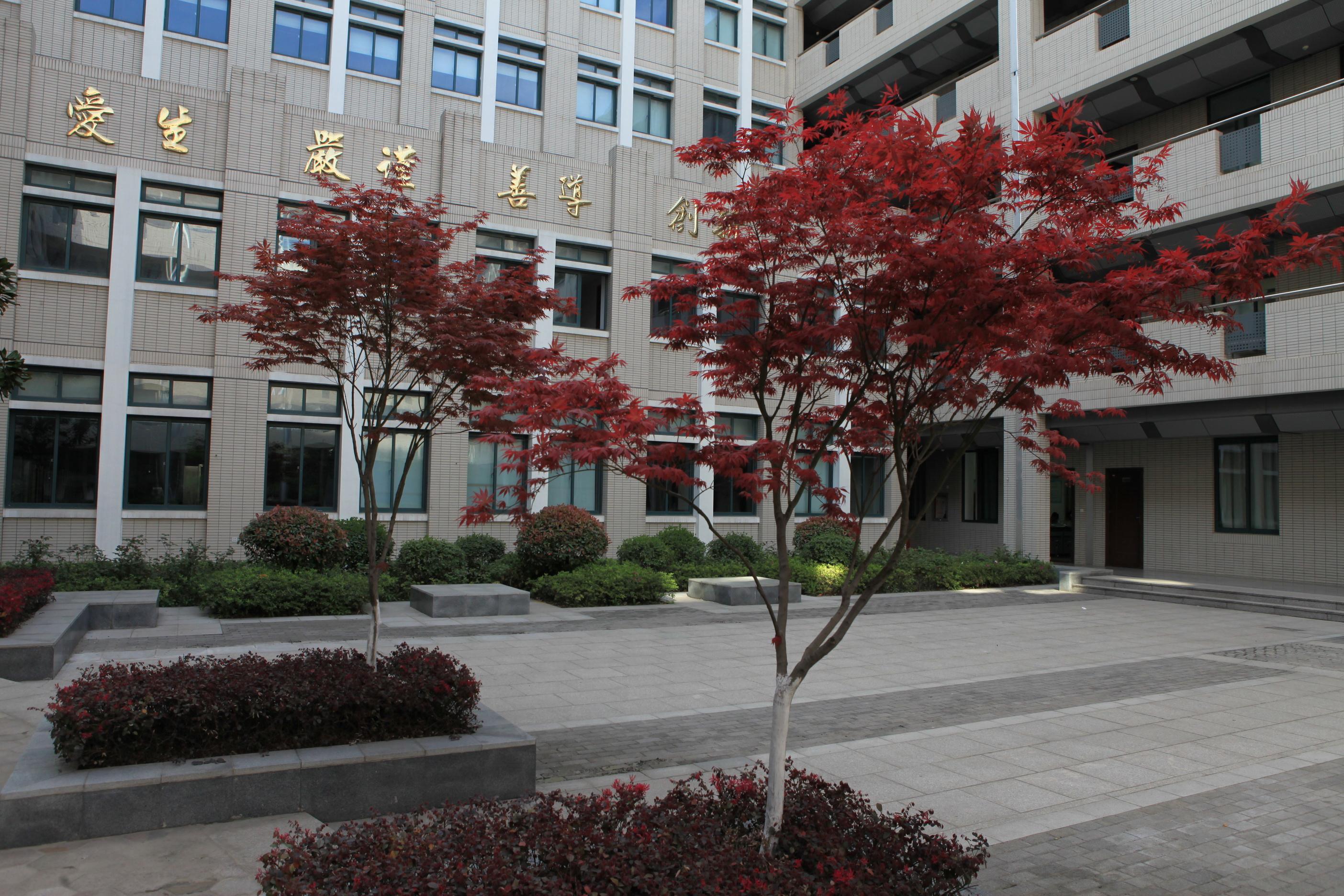 2022年重慶護理專業(yè)主要有哪些學習內(nèi)容呢？