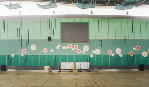 牛津國(guó)際公學(xué)成都學(xué)校體育館