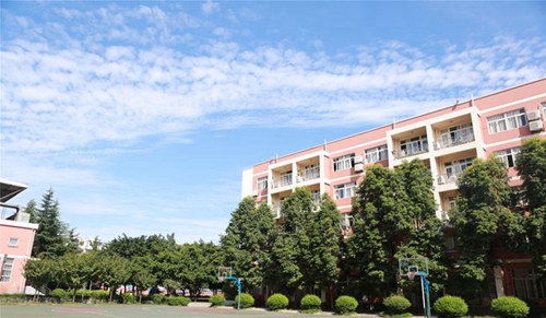成都七中嘉祥外國語學校國際高中校園籃球場