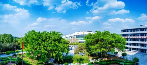成都高新三岔中學美麗校園
