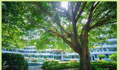 成都高新三岔中學校園環(huán)境