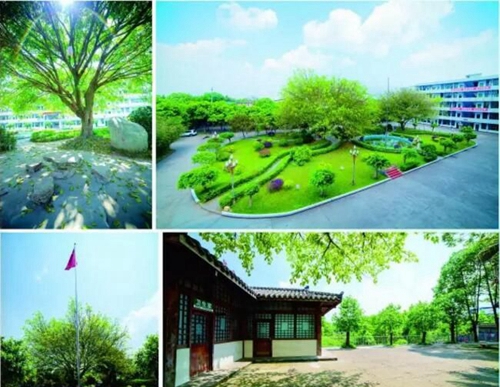 成都高新三岔中學校園環(huán)境2