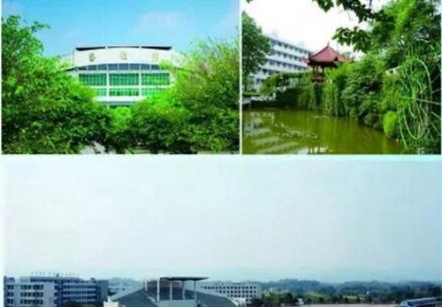 成都高新三岔中學校園建筑