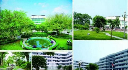 成都高新三岔中學校園景色