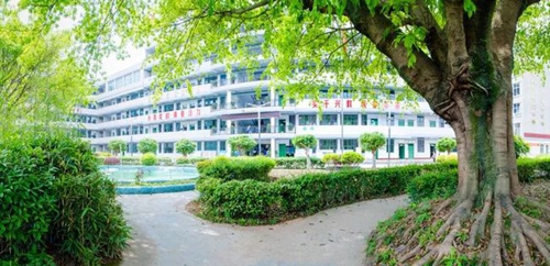 成都高新三岔中學校園綠化