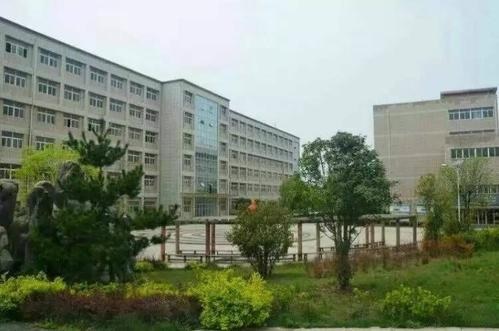 81.jpg