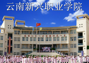 云南新興職業(yè)學(xué)院2021年五年制大專(zhuān)招生簡(jiǎn)章