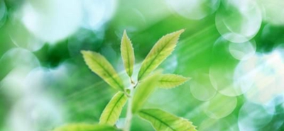 樟樹職業(yè)技術(shù)學(xué)校2025年招生簡章