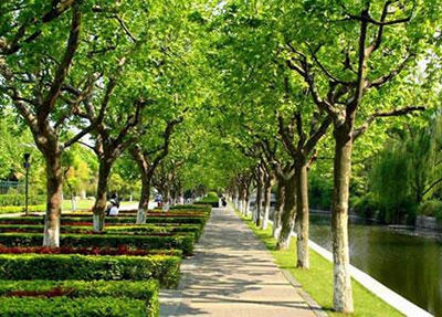 麻城木子店高級職業(yè)中學(xué)2025年招生簡章