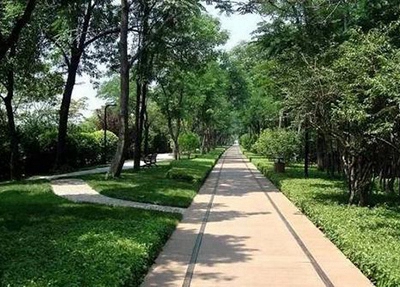 四川省南部縣職業(yè)技術學校2025年招生簡章