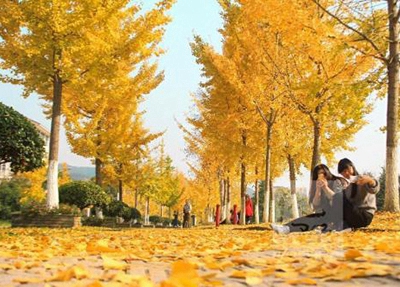 信陽中等專業(yè)技術(shù)學(xué)校2025年招生簡章