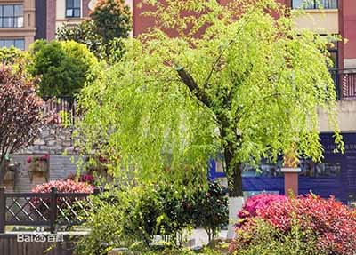 沈陽師聯(lián)幼師學(xué)校怎么樣？好不好就業(yè)呢？