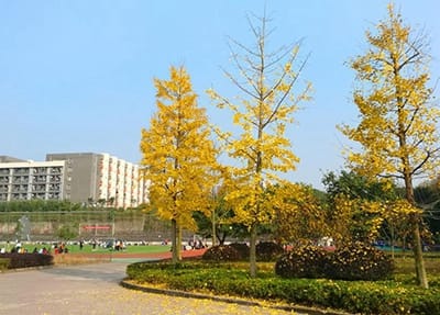 青海衛(wèi)生職業(yè)技術(shù)學(xué)院怎么樣？好不好就業(yè)呢？