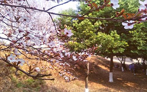 杭州職業(yè)技術(shù)學(xué)院模具設(shè)計(jì)與制造專業(yè)到底行不行?設(shè)有哪些課程