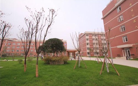 七臺河職業(yè)汽車學院招生專業(yè)說明