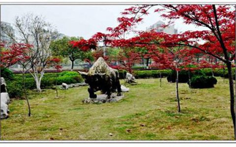 四川省達(dá)州財(cái)貿(mào)學(xué)校專業(yè)報(bào)名收費(fèi)貴不貴