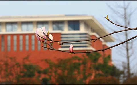 四川天一學(xué)院學(xué)費(fèi)是多少