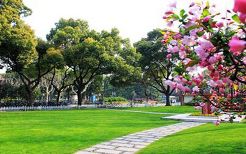 四川省蒼溪縣職業(yè)高級(jí)中學(xué)2023招生簡(jiǎn)章