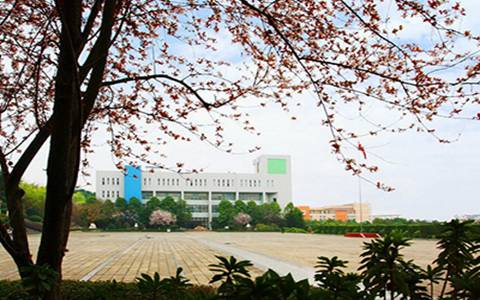 達縣亭子職業(yè)高級中學熱門專業(yè)有哪些