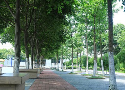 陜西工業(yè)職業(yè)技術(shù)學院物聯(lián)網(wǎng)應用技術(shù)專業(yè)介紹