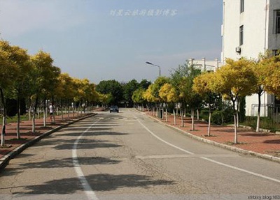 銀川大學(xué)中考沒考好該如何選擇