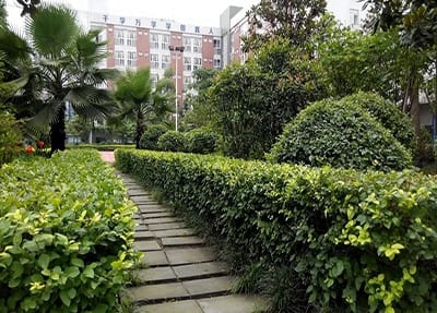 西安鐵路職業(yè)技術學院軟件技術專業(yè)簡介