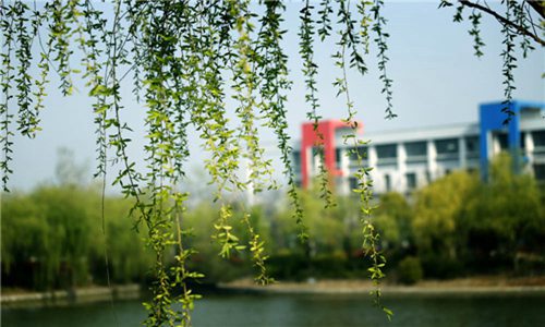 浙江同濟科技職業(yè)學院五年制大專專業(yè)介紹