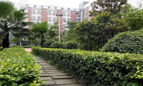 福建體育職業(yè)技術(shù)學(xué)院高爾夫球運動與管理專業(yè)專業(yè)介紹