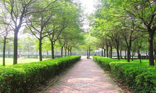 南京信息職業(yè)技術(shù)學(xué)院電子電路設(shè)計(jì)與工藝專業(yè)招生介紹