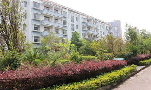 福州軟件職業(yè)技術(shù)學(xué)院國(guó)際貿(mào)易實(shí)務(wù)專業(yè)招生介紹