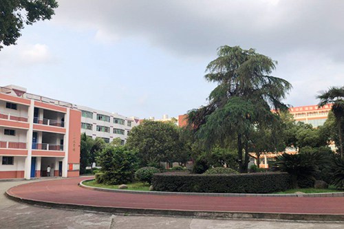 鐵嶺衛(wèi)生職業(yè)學(xué)院助產(chǎn)專(zhuān)業(yè)介紹