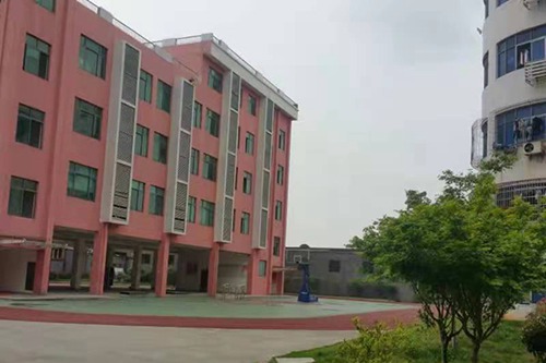 山東經(jīng)貿(mào)職業(yè)學(xué)院會計（校企合作)專業(yè)介紹