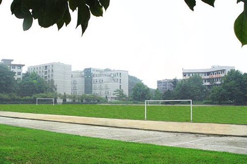 遼寧農(nóng)業(yè)職業(yè)技術(shù)學(xué)院寵物臨床診療技術(shù)專(zhuān)業(yè)介紹