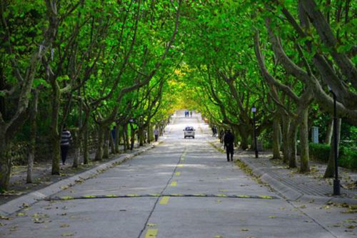 徐州生物工程職業(yè)技術(shù)學(xué)院現(xiàn)代農(nóng)業(yè)技術(shù)專(zhuān)業(yè)介紹