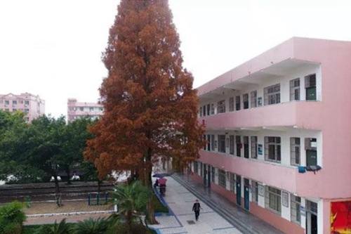 大連職業(yè)技術(shù)學院計算機網(wǎng)絡(luò)技術(shù)專業(yè)介紹