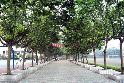 南京視覺藝術(shù)職業(yè)學(xué)院攝影與攝像藝術(shù)專業(yè)介紹