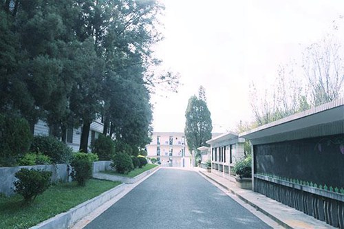旬陽職業(yè)中等專業(yè)學校2023年招生要求多少分怎么樣