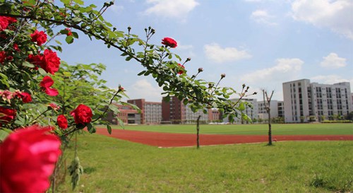 河北鐵路軌道運輸職業(yè)技術(shù)學(xué)院2022年3+2五年制大專錄取分?jǐn)?shù)線
