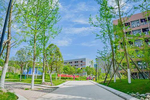 張家口供銷中專學(xué)校航空空乘民航商務(wù)專業(yè)就業(yè)方向與前景分析
