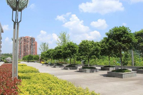 廈門2023人工智能一個(gè)月工資多少好就業(yè)？