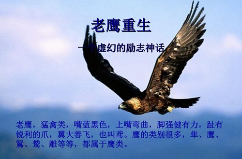 北京外事服務(wù)職業(yè)高級(jí)中學(xué)2025年報(bào)名一年多少學(xué)費(fèi)